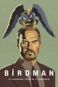 Birdman o la Inesperada Virtud de la Ignorancia